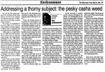 Addressing a thorny subject: the pesky casha weed