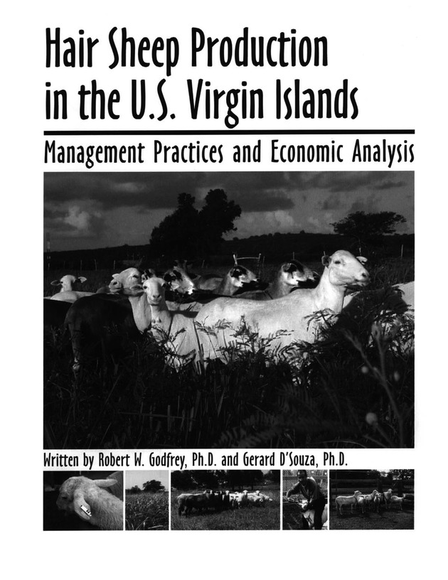 Hair sheep production in the U.S. Virgin Islands - Page 1