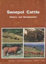 Senepol Cattle: History and development