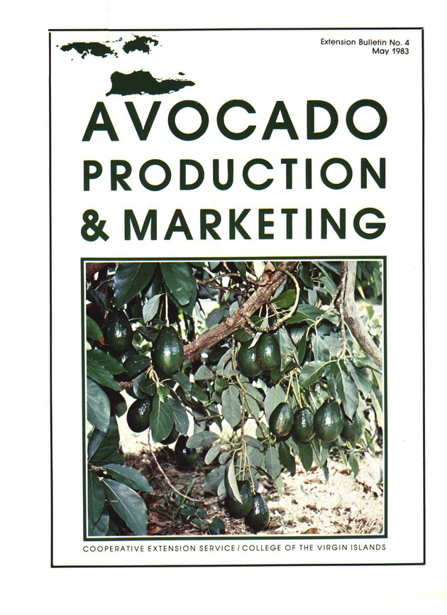 Avocado production & marketing - Front Cover