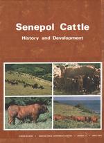 Senepol Cattle: History and Developemnt