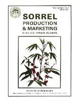 Sorrel Production and Marketing in the U. S. Virgin Islands