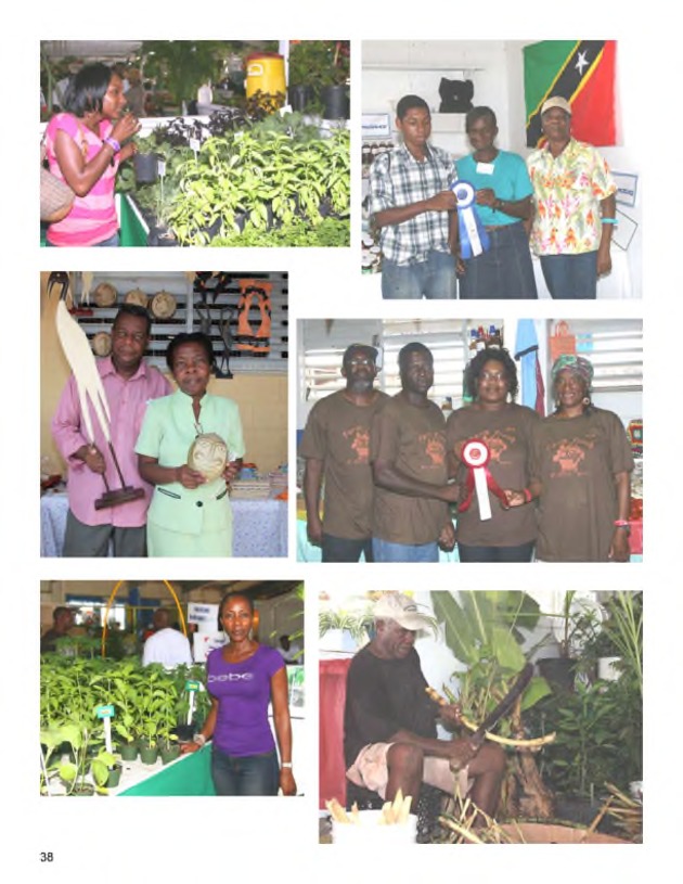 Agrifest: Virgin Islands Argriculture and Food Fair 2011 - Page 38