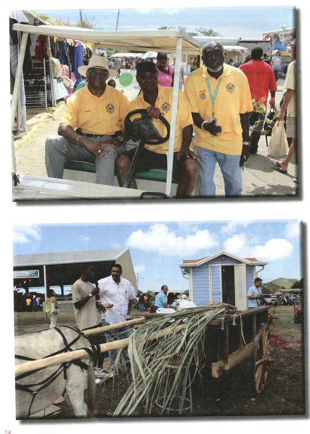 Agrifest Virgin Islands Agriculture-Growing Our Futire - 0025