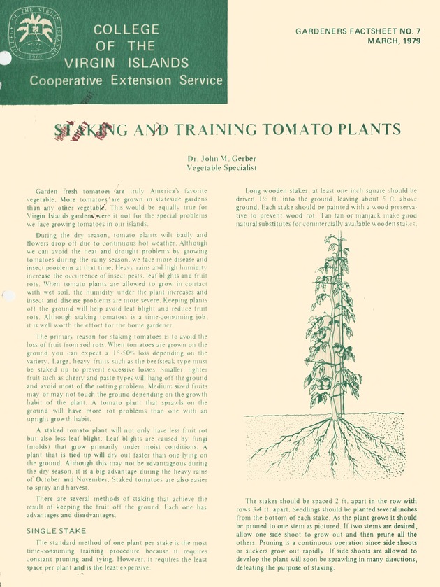 Staking and training tomato plants - 0001-Front