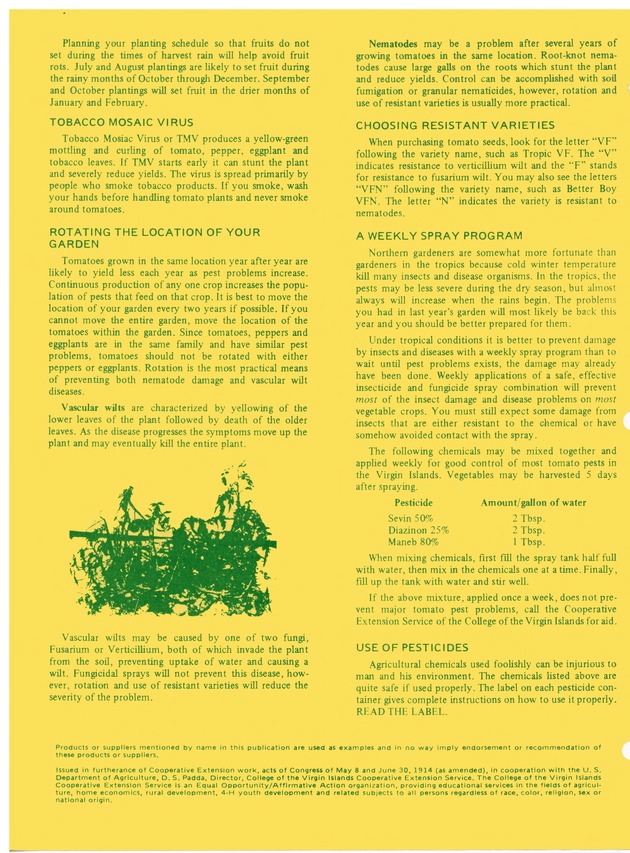 Controlling tomato insects and diseases - 0002-Back