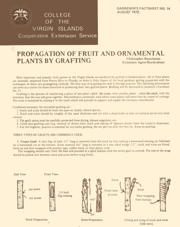 Propagation of fruit and ornamental plants by grafting - 0001