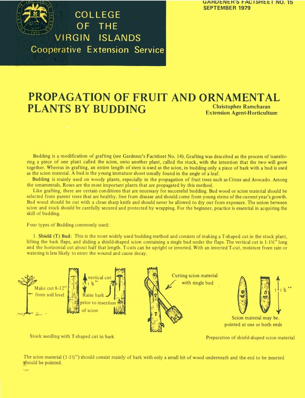 Propagation of fruit and ornamental plants by budding - 0001