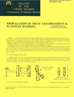 Propagation of fruit and ornamental plants by budding