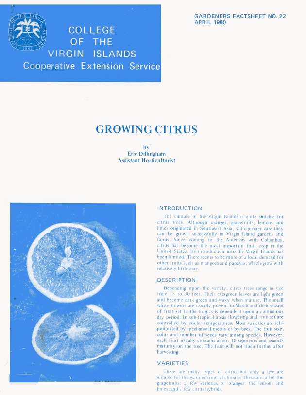 Growing citrus - 0001