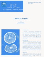 Growing citrus