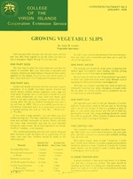 Growing vegetable slips