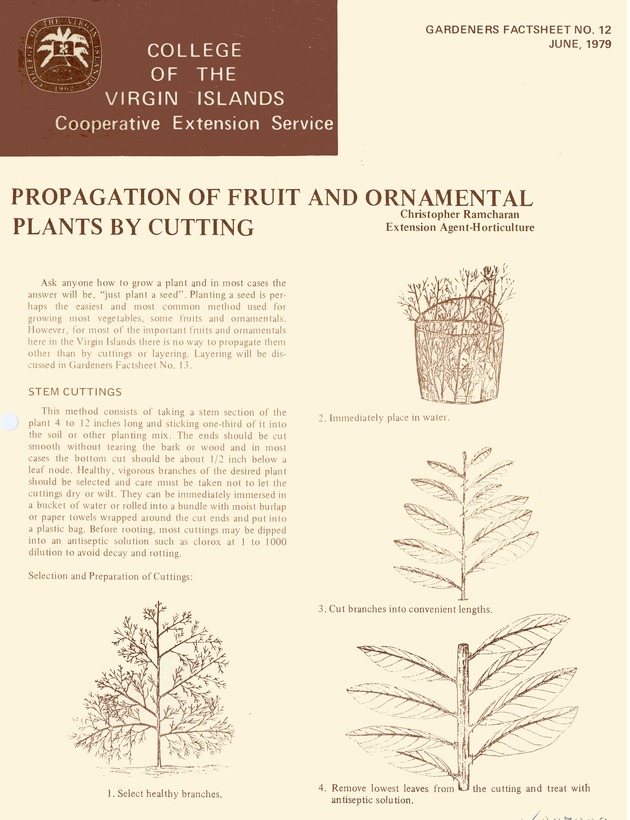 Propagation of fruit and ornamental plants by cutting - 0001