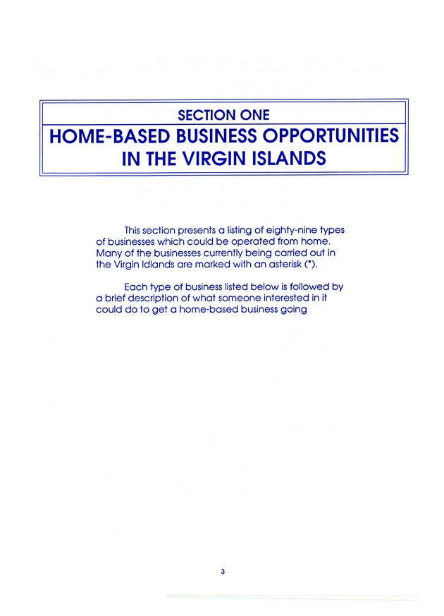 Cottage industries in the U.S. Virgin Islands : a glossary of home-based business opportunities - 0006