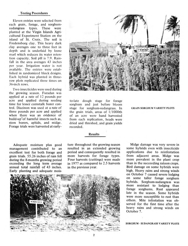 Virgin Islands grain and forage sorghum performance trails in 1976-1977 - 0003