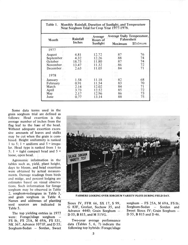 Virgin Islands grain and forage sorghum performance trails in 1976-1977 - 0004