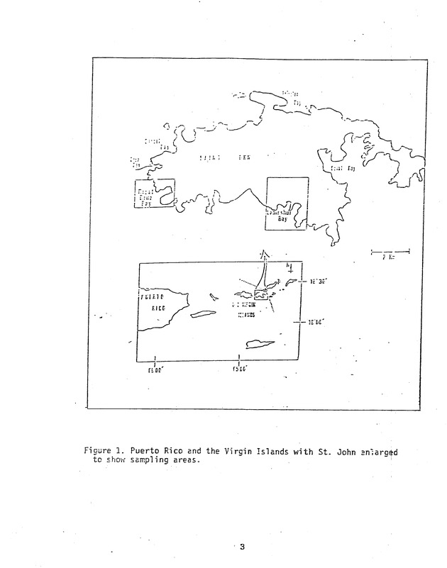 Effects of runoff from underdeveloped versus lightly developed watersheds on tropical planktonic ecosystem - 0011