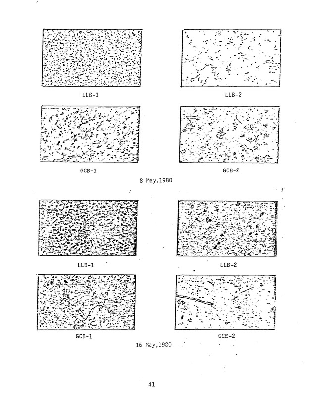 Effects of runoff from underdeveloped versus lightly developed watersheds on tropical planktonic ecosystem - 0049