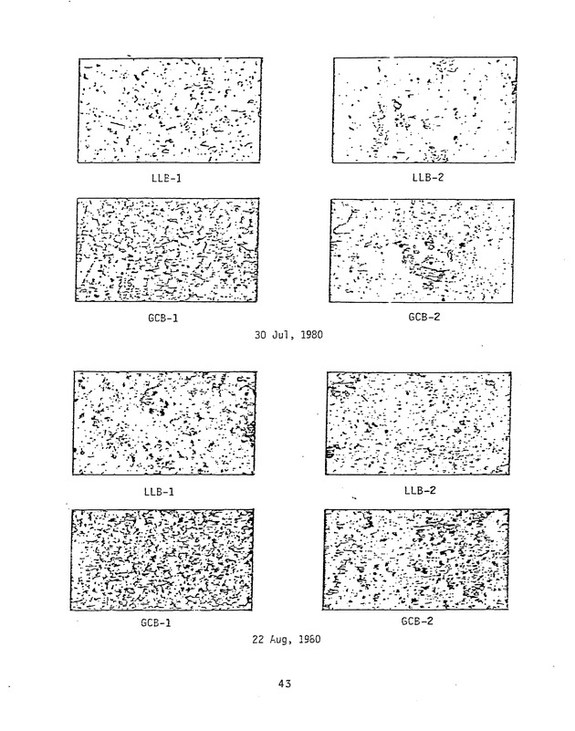 Effects of runoff from underdeveloped versus lightly developed watersheds on tropical planktonic ecosystem - 0051