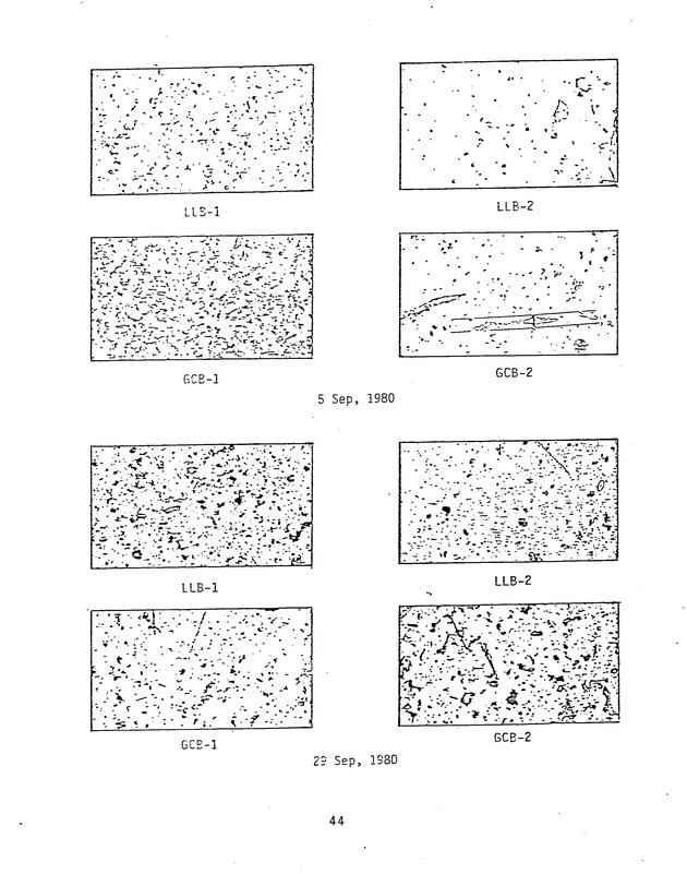 Effects of runoff from underdeveloped versus lightly developed watersheds on tropical planktonic ecosystem - 0052