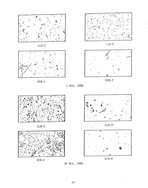 Effects of runoff from underdeveloped versus lightly developed watersheds on tropical planktonic ecosystem - 0053