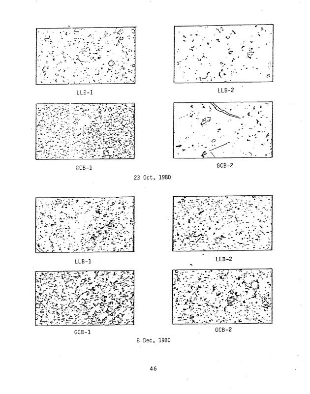 Effects of runoff from underdeveloped versus lightly developed watersheds on tropical planktonic ecosystem - 0054