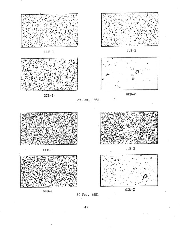 Effects of runoff from underdeveloped versus lightly developed watersheds on tropical planktonic ecosystem - 0055