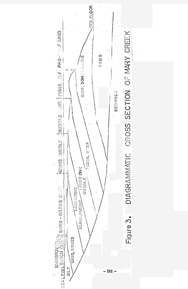 Study of the fisheries potential of the Virgin Islands Contribution - 0111