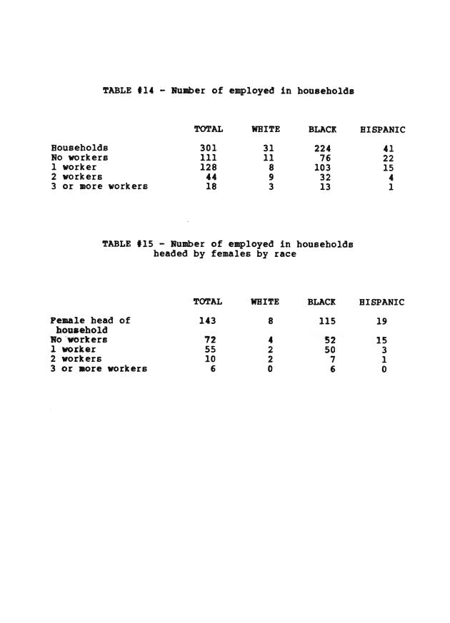 Households in the U.S. Virgin Islands : a survey of economic activity - 0030