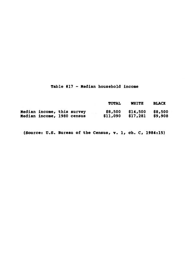 Households in the U.S. Virgin Islands : a survey of economic activity - 0032