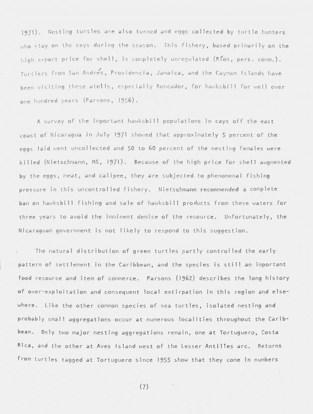 Distribution and management of Caribbean sea turtles - 0007