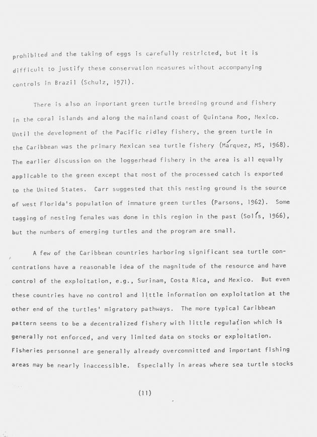 Distribution and management of Caribbean sea turtles - 0011