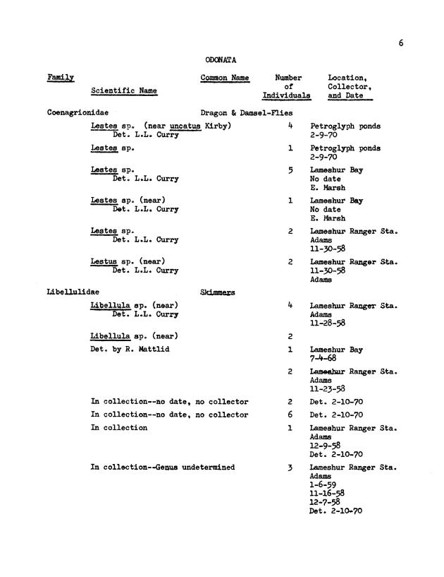 Entomological check list for Virgin Island Ecological Research Station and Virgin Island National Park Museum, St. John, U.S. Virgin Islands - Page 17