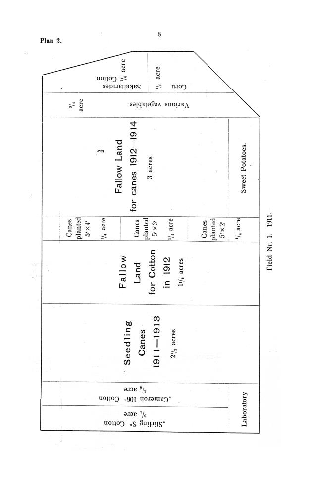 Report of the work done by the agricultural experimental station in St. Croix during the year from the 1st July 1911 to the 30th June 1912 - 0007