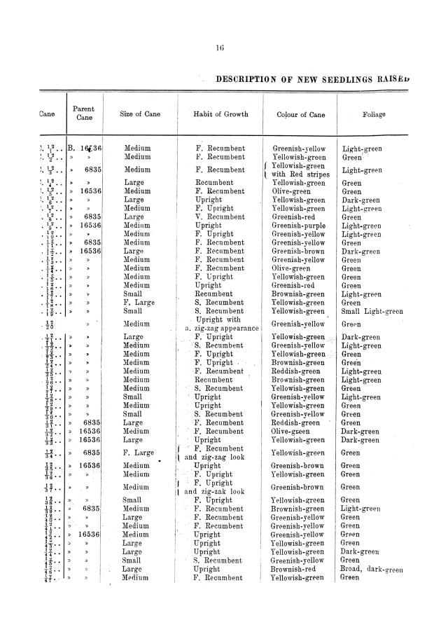 Report of the work done by the agricultural experimental station in St. Croix during the year from the 1st July 1911 to the 30th June 1912 - 0015