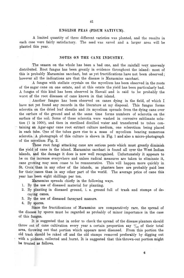 Report of the work done by the agricultural experimental station in St. Croix during the year from the 1st July 1911 to the 30th June 1912 - 0040