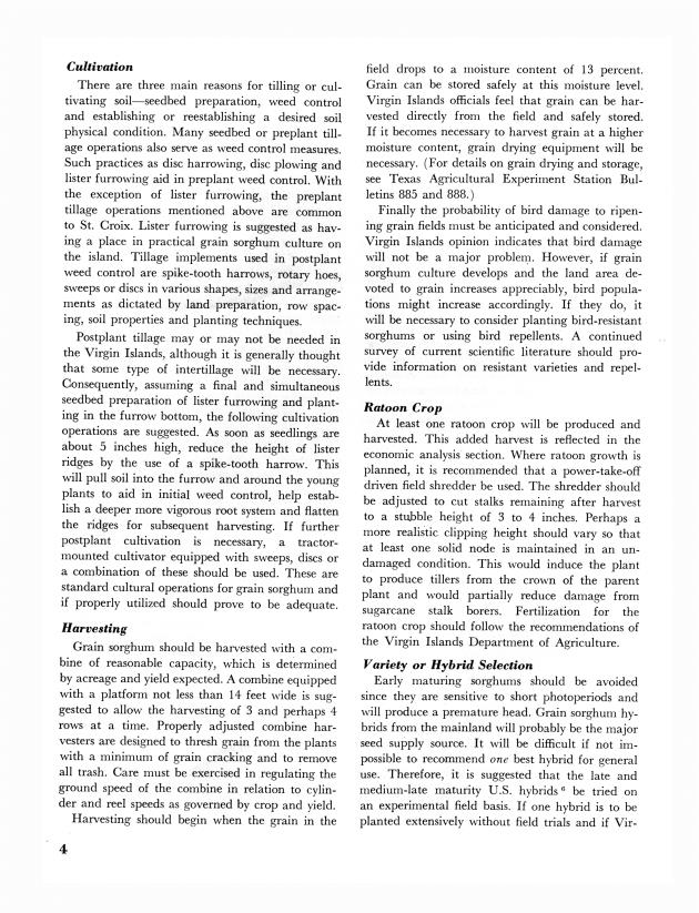 Grain sorghum and forage : production and utilization potential in St. Croix, U.S. Virgin Islands Virgin Islands - 0008