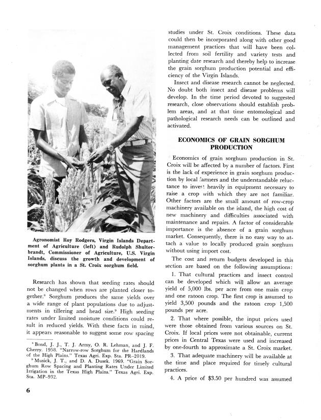 Grain sorghum and forage : production and utilization potential in St. Croix, U.S. Virgin Islands Virgin Islands - 0010