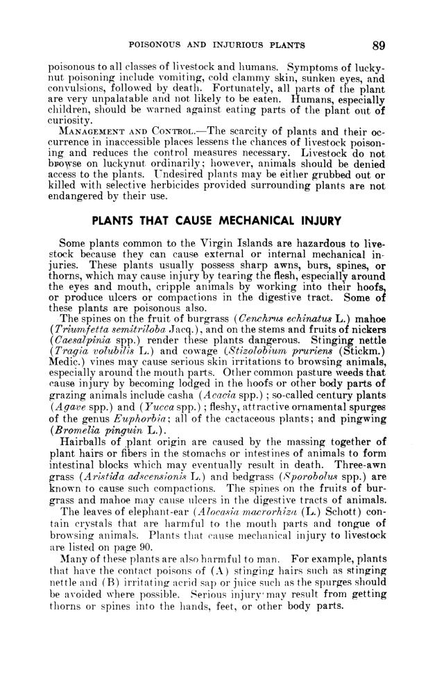 Poisonous and injurious plants of the U.S. Virgin Islands - 0095