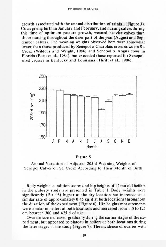 Senepol cattle : proceedings, International Senepol Research Symposium - 0025