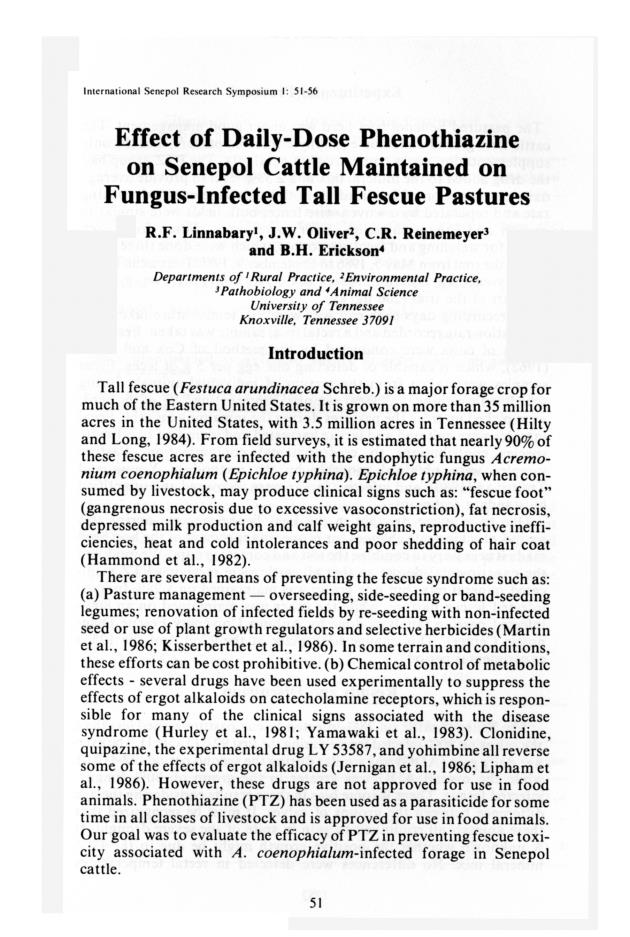 Senepol cattle : proceedings, International Senepol Research Symposium - 0056