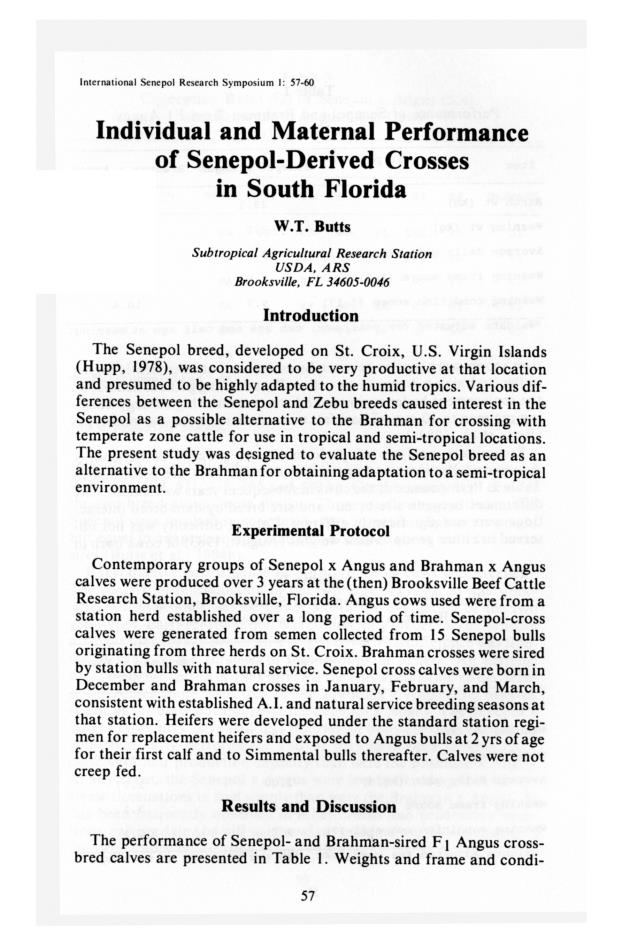 Senepol cattle : proceedings, International Senepol Research Symposium - 0062