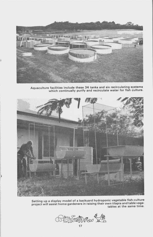 Land grant programs in action : College of the Virgin Islands - 0019