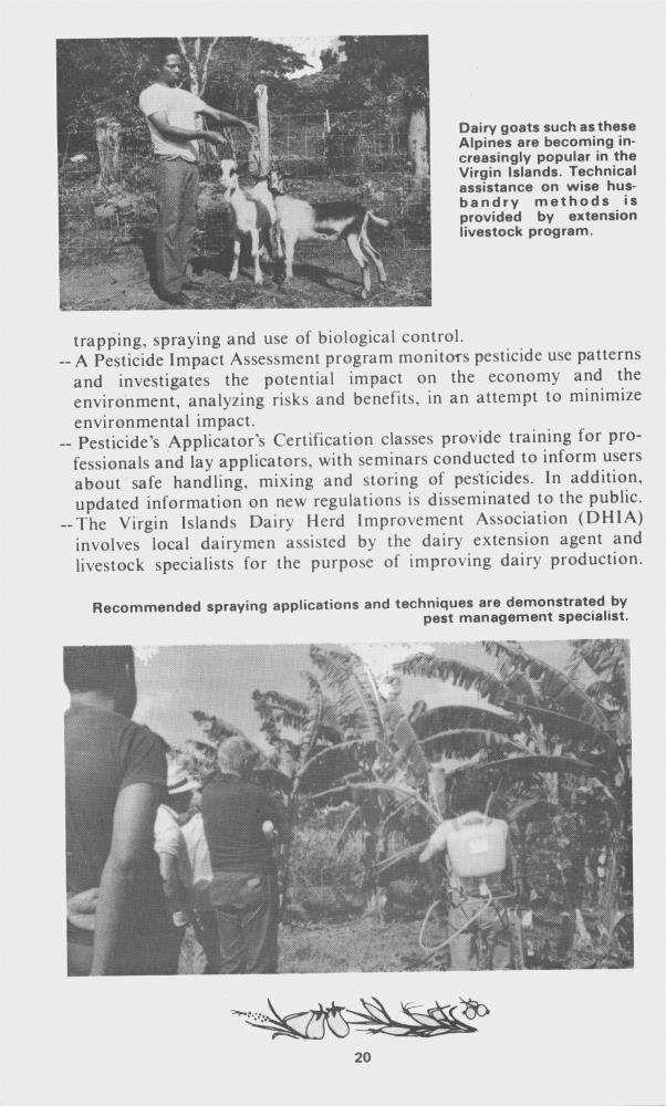 Land grant programs in action : College of the Virgin Islands - 0022