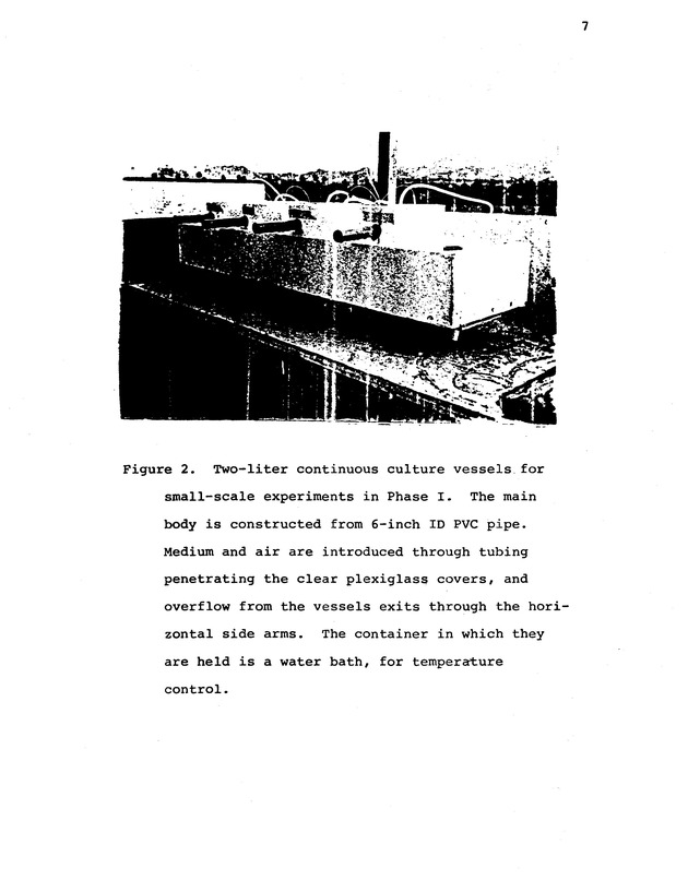 Clam aquaculture in wastewater: Phase II Rearing of clams in algae grown in wastewater - 0022