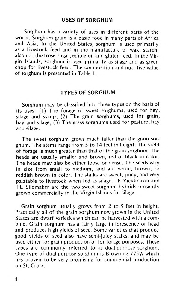 Sorghum in the Virgin Islands - 0006