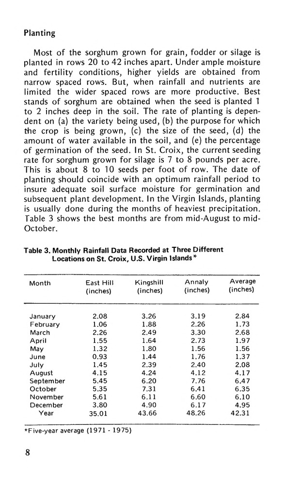Sorghum in the Virgin Islands - 0010