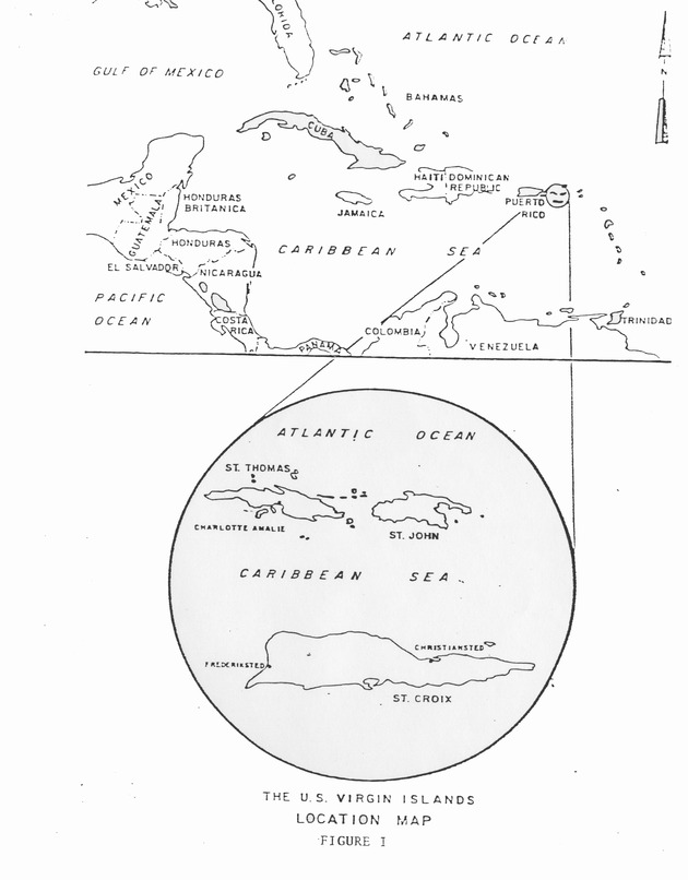 Remote sensing of subsurface water resources in the U.S. Virgin Islands Technical report - 0008