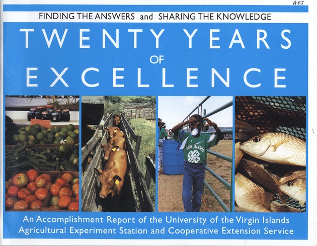 Twenty years of excellence - Front Cover