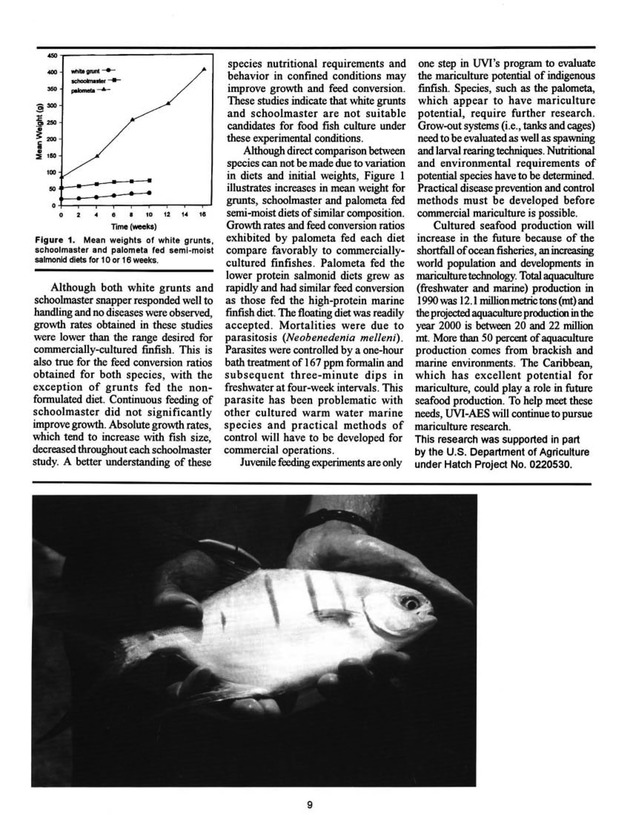 UVI research - Page 9